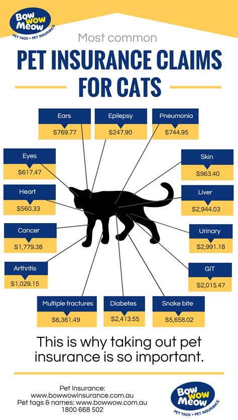 does cat insurance cover logging